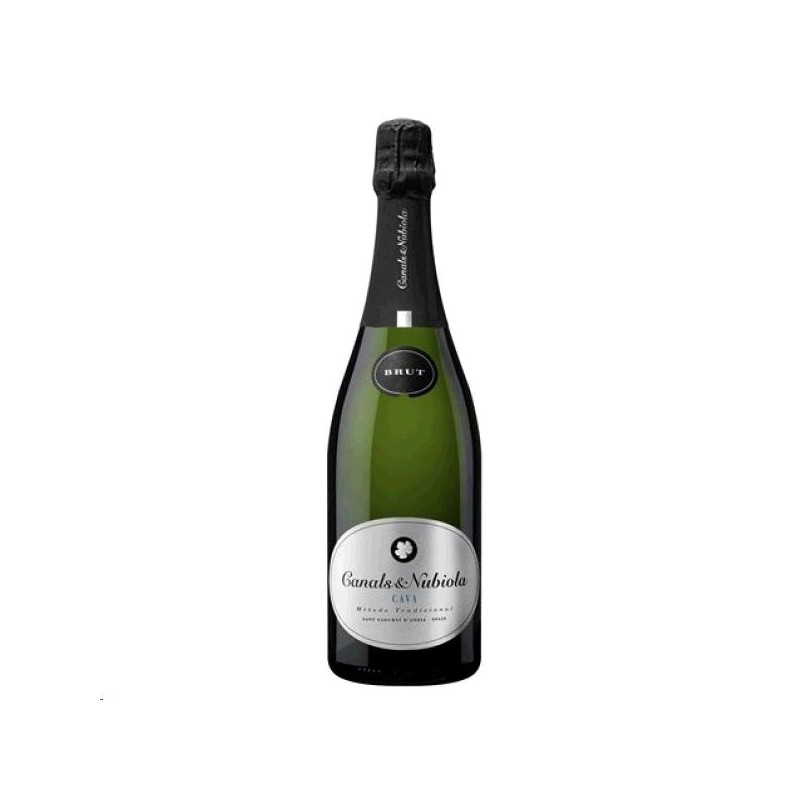 CAVA RAVENTOS BLANC DE BLANCS 75CL