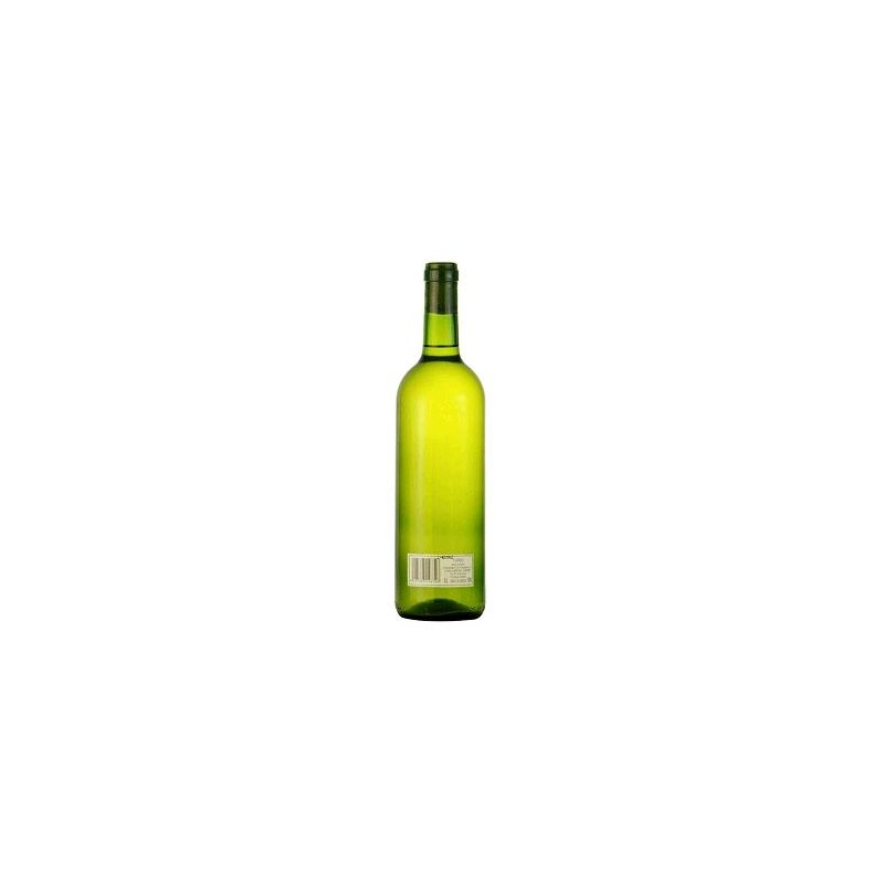 VI SENSE D.O TURBIO BLANC 75CL
